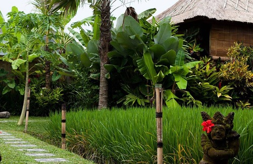 Peliatan Villa | Habitación de 1 habitación Ubud Rice Paddy Field View
