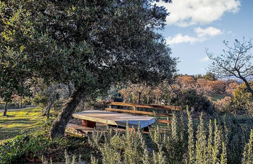 Orgosolo Casa | Alojamiento de 1 habitaciones en Orgosolo
