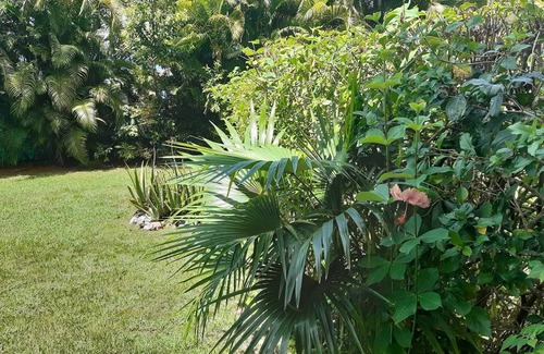 Pointe de la verdure Apartamento | 1 Bedroom Apartment in Le Gosier