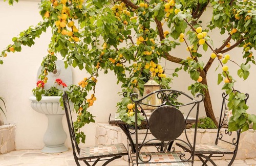 Chiesiola Apartamento | 1 bedroom apartment in vieste