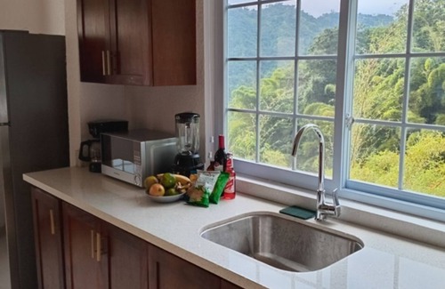 Gordon Town Apartamento | 1-bedroom apartment in the Foothills of the Blue Mountains in Kingston