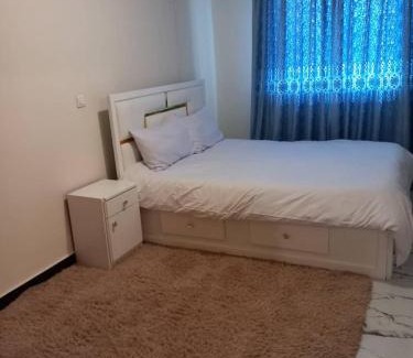 Bole Apartamento | 1 bedroom apartment near UNECA
