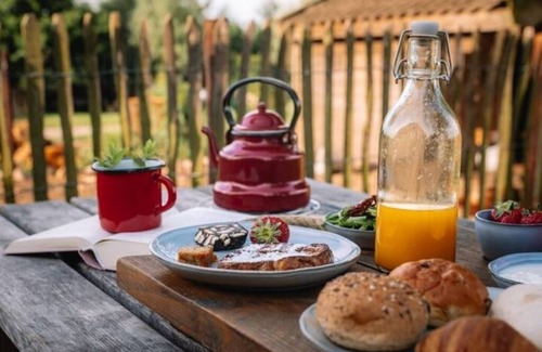 Oosterwolde Cama Y Desayuno | 1 bedroom bed and breakfast in oosterwolde