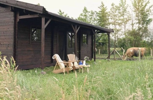 Oosterwolde Cabina | 1 bedroom cabin in oosterwolde