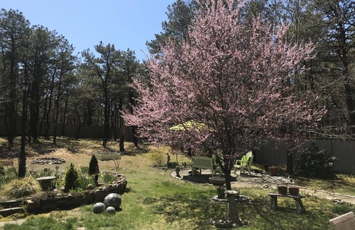 North Truro Apartamento | 1 bedroom garden apartment