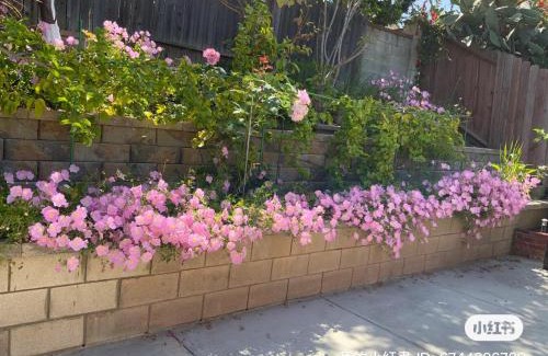 Rowland Heights Casa | 1 bedroom in a quiet neighborhood near the main street - Room C