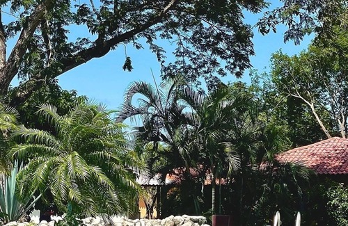 Potrero Casa | Playa Potrero Updated 1 Bedroom Unit