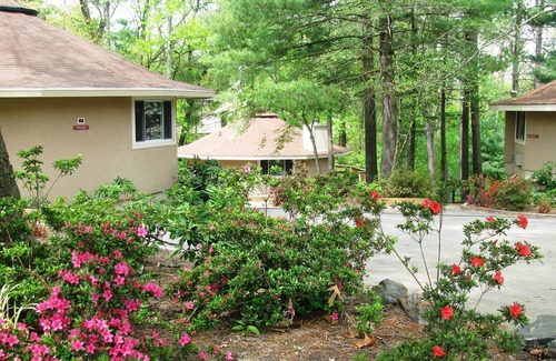 Asheville Villa | Villa de vacaciones de 1 habitación