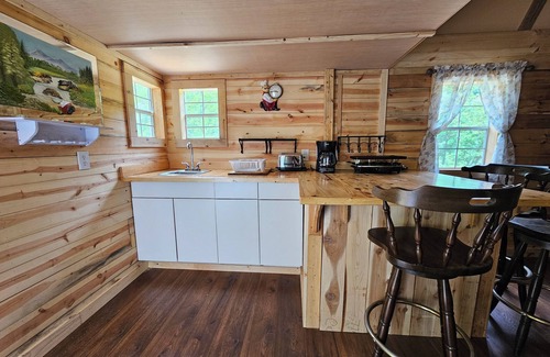 Freeman Cabina | 1 BR/1BR Lofted Cabin West Virginia Hatfield McCoy ATV Trails
