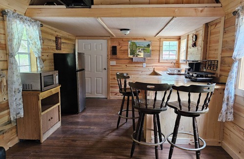 Freeman Cabina | 1 BR/1BR Lofted Cabin West Virginia Hatfield McCoy ATV Trails