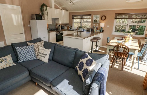 Narberth Cabaña | 1 HORNBEAM LODGE, family friendly, with hot tub in Narberth