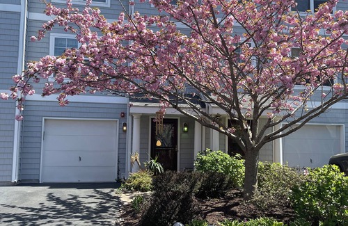 Country Club Estates Condominio | 1 Private Queen Bed / Bath in condo in charming Rehoboth Beach with WiFi, AC