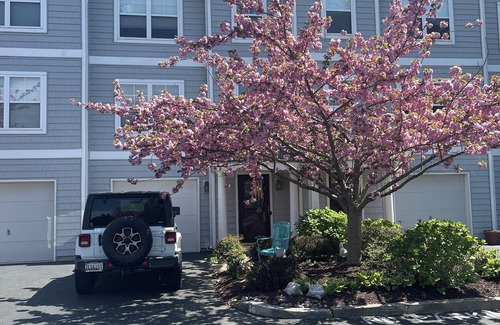 Country Club Estates Condominio | 1 Private Queen Bed / Bath in condo in charming Rehoboth Beach with WiFi, AC