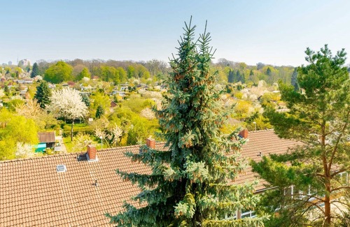 Burg Apartamento | 1 room apartment | ID 6841 | WiFi-Apartments