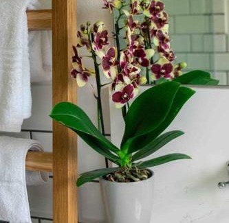 De Kelders Casa | 1 Waterkant Luxury Renovated 3 Bedroom House