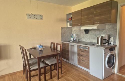 Sankt Englmar Apartamento | 1-Zimmer-Apartment mit Balkon, kostenloser Schwimmbadnutzung und Blick ins Grüne