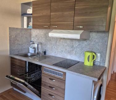 Sankt Englmar Apartamento | 1-Zimmer-Apartment mit Balkon, kostenloser Schwimmbadnutzung und Blick ins Grüne