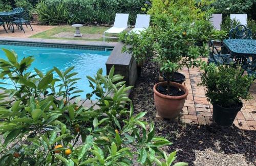 Stellenbosch Central Cama Y Desayuno | 10 Alexander B&B