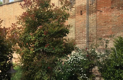 Nord-Est Casa | 10 minutes from Verona, lovely one-bedroom apartment nestled in the vineyards