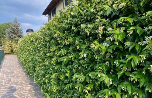 Zanica Apartamento | 10 minutes to flight Orio al Serio BGY