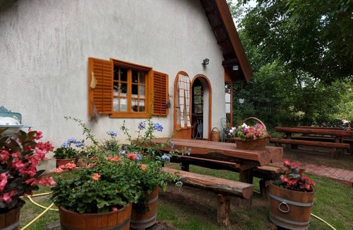 Szolosgyorok Cabaña | 10km from Lake Balaton with a quiet idyllic location. Ideal for nature lovers