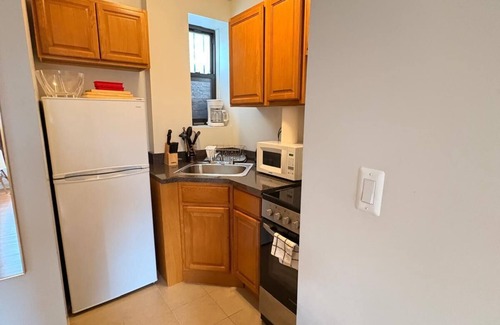 Ukrainian Village Apartamento | 11-4 Renovated 1br in East Village