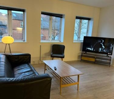 Vejle Apartamento | 11F 1 tv Højbanetorvet