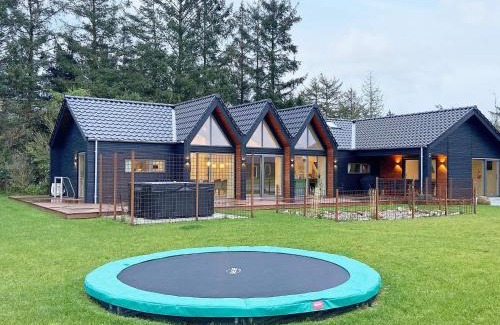 Ansager Casa | 12 person holiday home in Ansager-By Traum