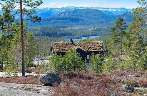 Treungen Casa | 15 person holiday home in Treungen