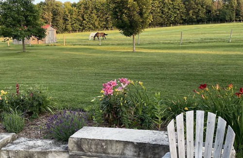 Meaford Apartamento | 16 acre pet friendly one bedroom apartment on hobby horse farm.