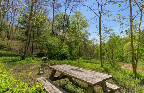 Asheville Cabina | 16’ Yurt in the Forest, Queen bed, kitchenette, hiking & 15 min to AVL.