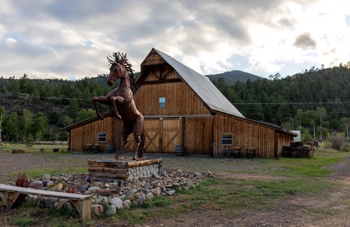 Villa Grove Cabina | 17.5 peaceful acres in the heart of the Colorado Rocky Mountains