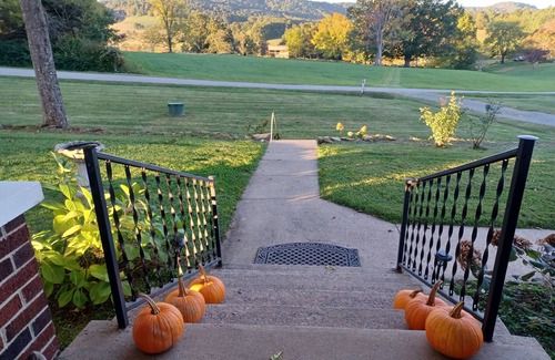 Alleghany County Casa | 1945 Farmhouse Charmer This is What You Come to the Country for! 12 mins Sparta