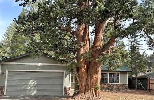Tahoe Paradise Casa | 1987 Cherokee St, home