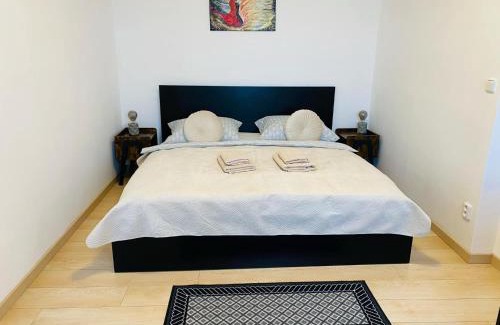 Hradec Kralove Apartamento | 1BD Apartment on Masarykovo Square - Bathtube, Desk & Chair, Free Wi-Fi