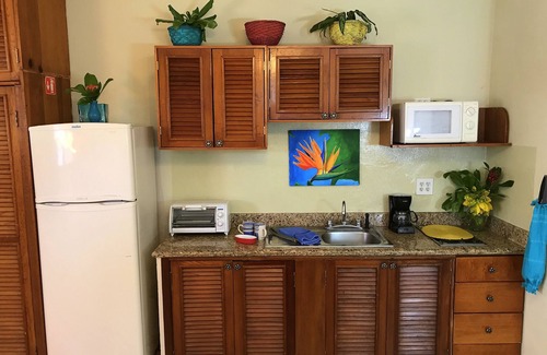 Colonia Adolfo Lopez Mateos Condominio | 1BR / 1Bath - $ 74 / Nite! ¡Pase sus vacaciones e invierno con nosotros!