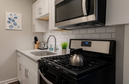 Hyde Park Apartamento | 1BR Chic Apt in Downtown Chicago