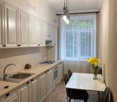 Mykolaiv Apartamento | 2-комнатная квартира на Соборной
