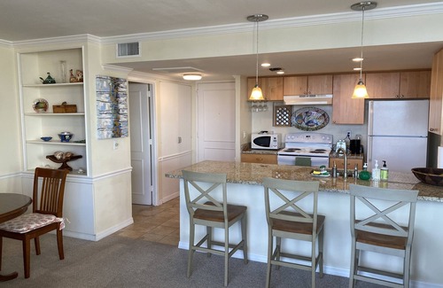 Bayshore Beautiful Condominio | 2 Bd/2 Ba Bayshore Blvd Condo|spectacular views of Tampa Bay|Free Parking|Pool
