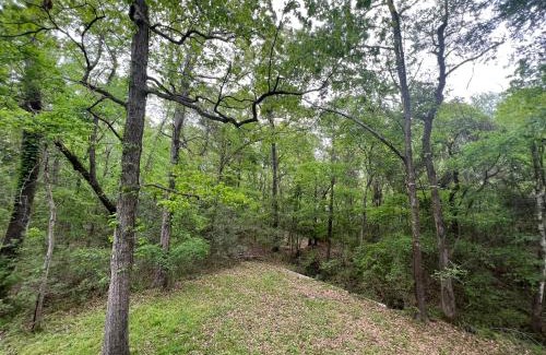 Montgomery Casa | 2 BDRM Treehouse Hideout- Lake Conroe with Boat ramp