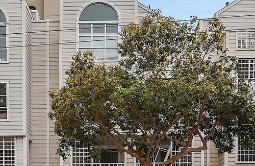 Fillmore District Apartamento | 2-bed/2-bath condo next to Jefferson Square Park, close to many city attractions