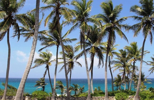 Stella Maris Cabaña | 2 Bed, 2 Bath Cottage located in Stella Maris center, access to resort amenities