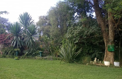 Harare Apartamento | 2 bed guesthouse in Mabelreign - 2012