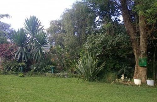Harare Apartamento | 2 bed guesthouse in Mabelreign - 2012