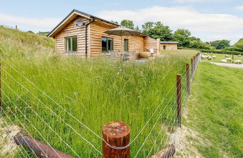 Caersws Cabaña | 2 bedroom accommodation in Llanidloes, near Newtown
