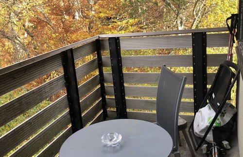 Besse-et-Saint-Anastaise Apartamento | 2-bedroom apartment with piste view 5 minutes from center
