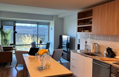 Seaport District Apartamento | 2-bedroom apartment in enchanting seaport boston