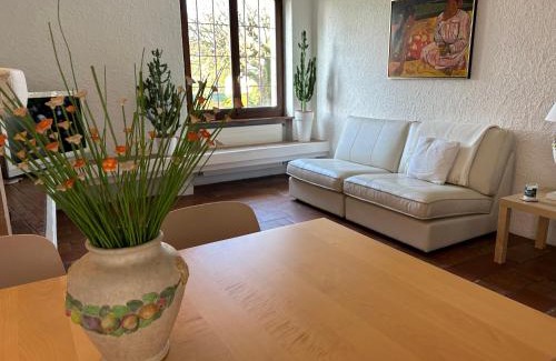 Morbio Inferiore Apartamento | 2 bedroom apt near Como lake