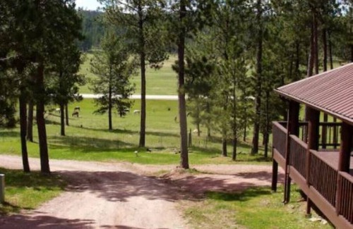 Custer Cabina | 2 bedroom cabin in the Black Hills