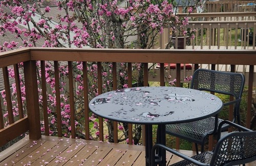 Powell Condominio | 2-bedroom condo just remodeled. 1 car garage. Includes utilities, wifi, tv